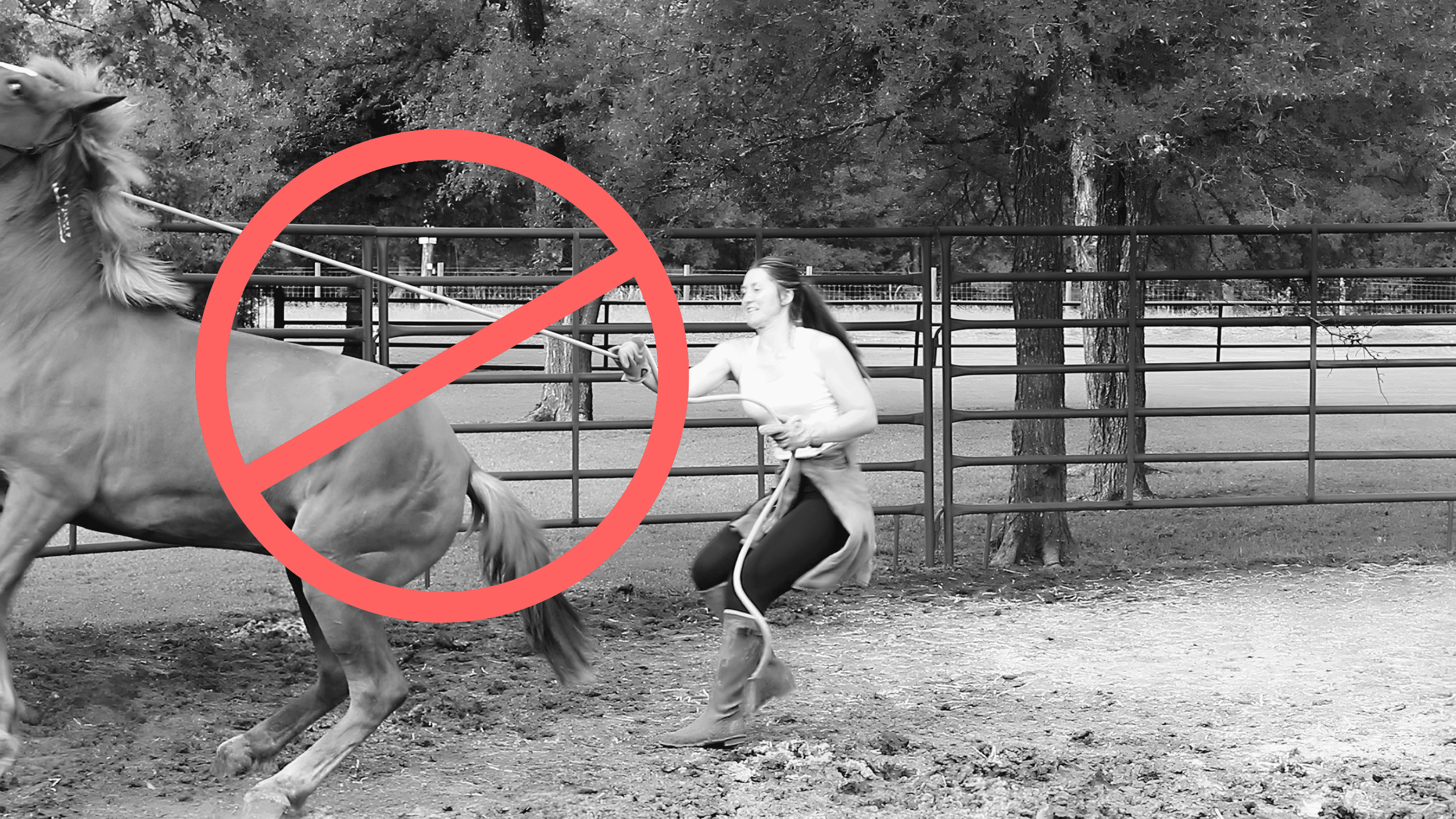 Black-and-white photo of Marina chasing a horse with a lunge whip in a round pen, crossed out with a red no symbol