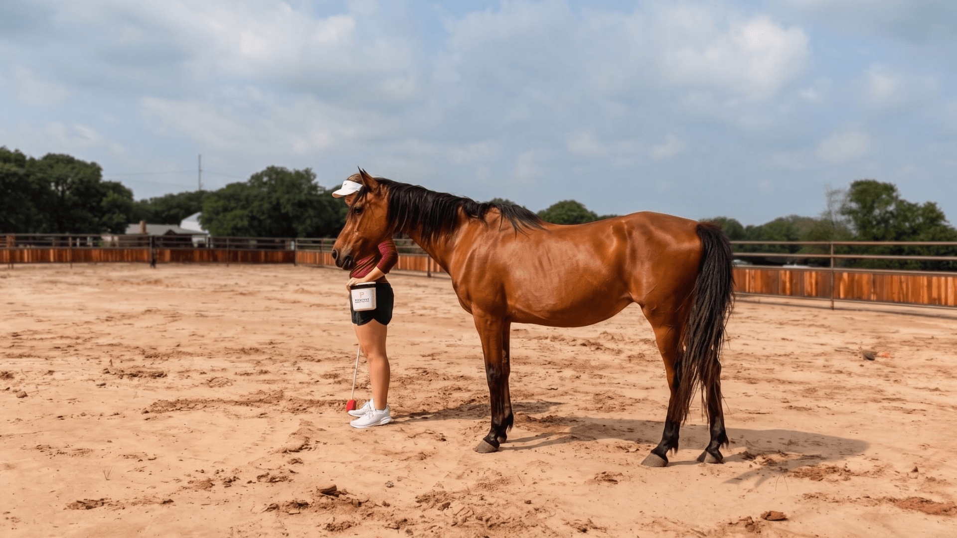 Marina standing beside a bay horse in a sand arena