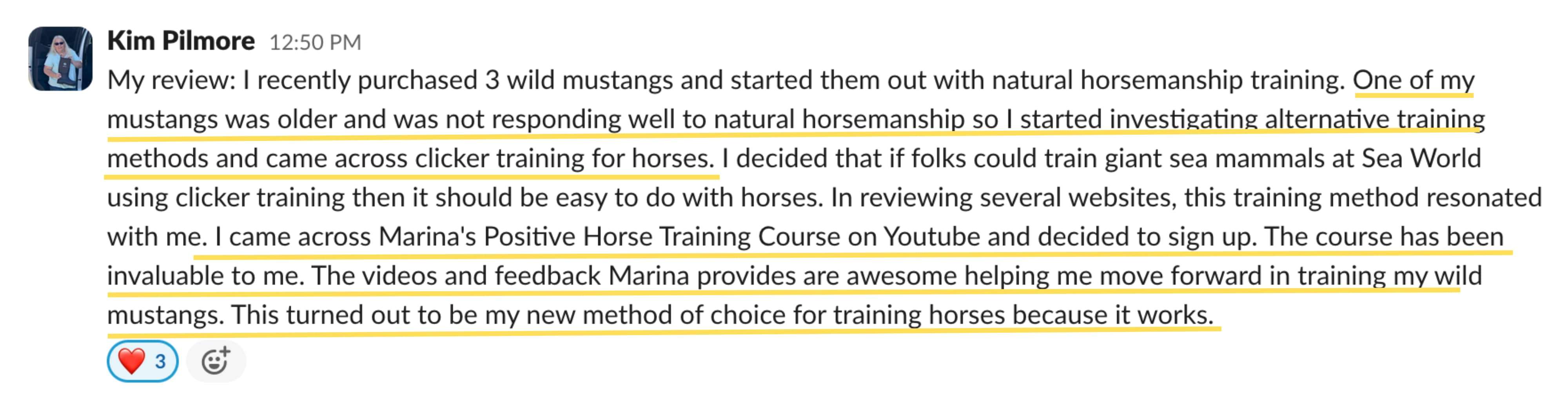 Student feedback from a Positive Horse Training student