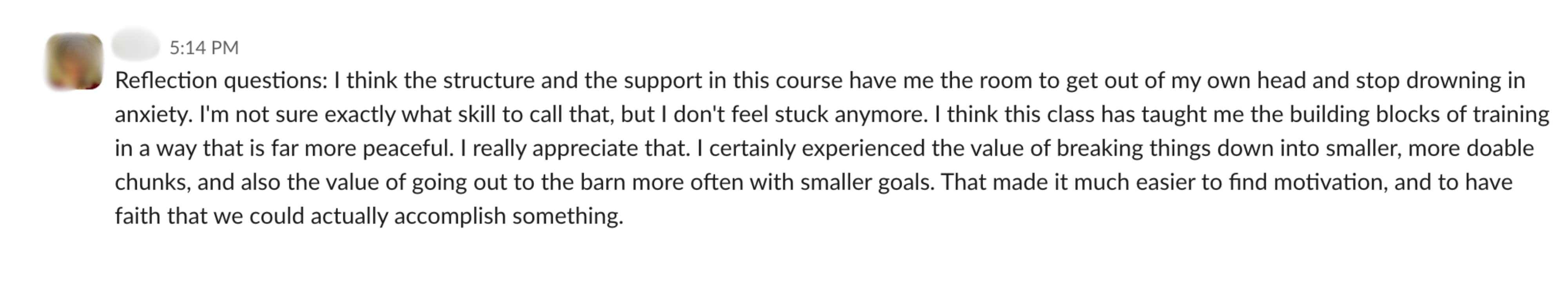 Student feedback from a Positive Horse Training student