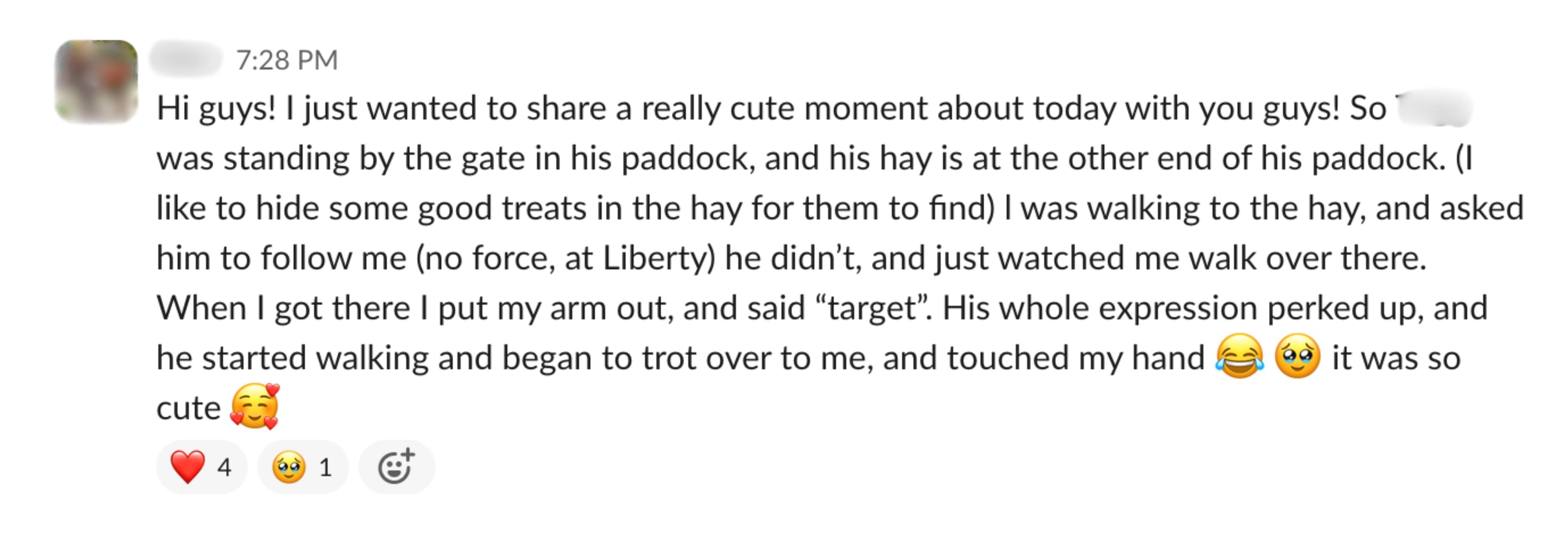 Student feedback from a Positive Horse Training student