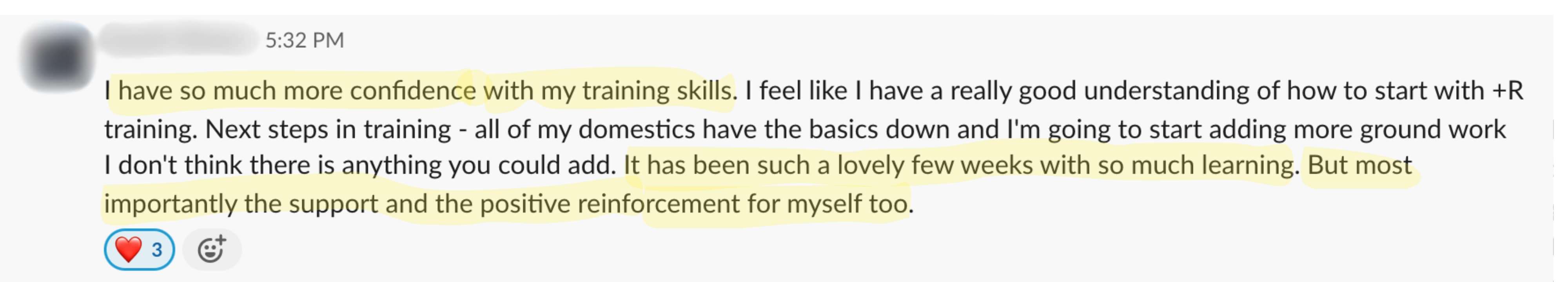 Student feedback from a Positive Horse Training student
