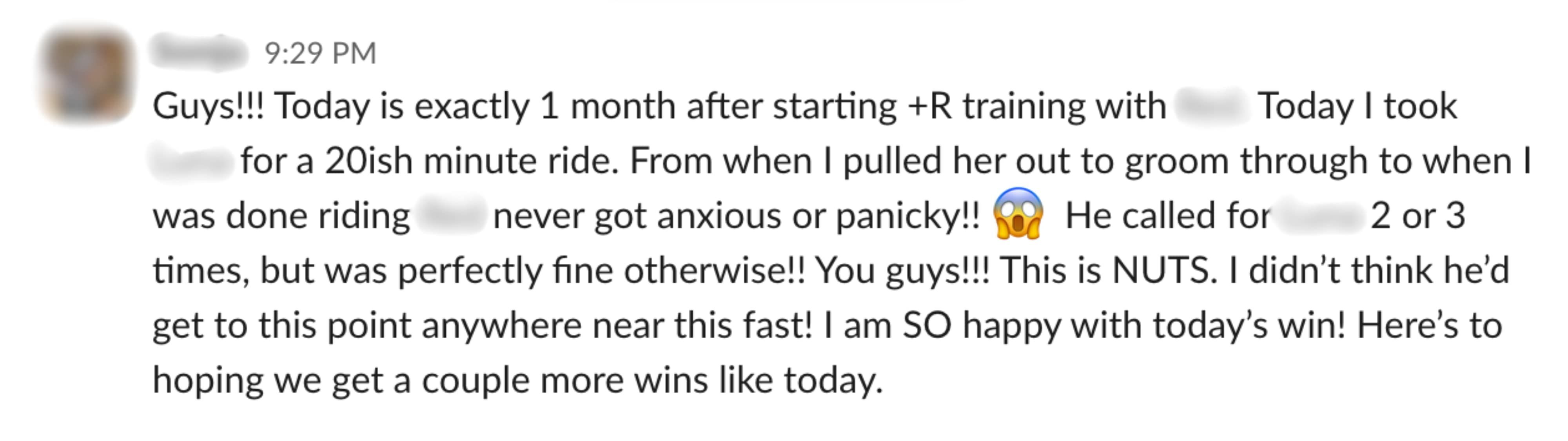 Student feedback from a Positive Horse Training student